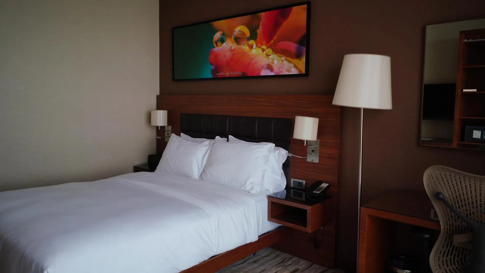 Hotel Doubletree By Hilton Trabzon