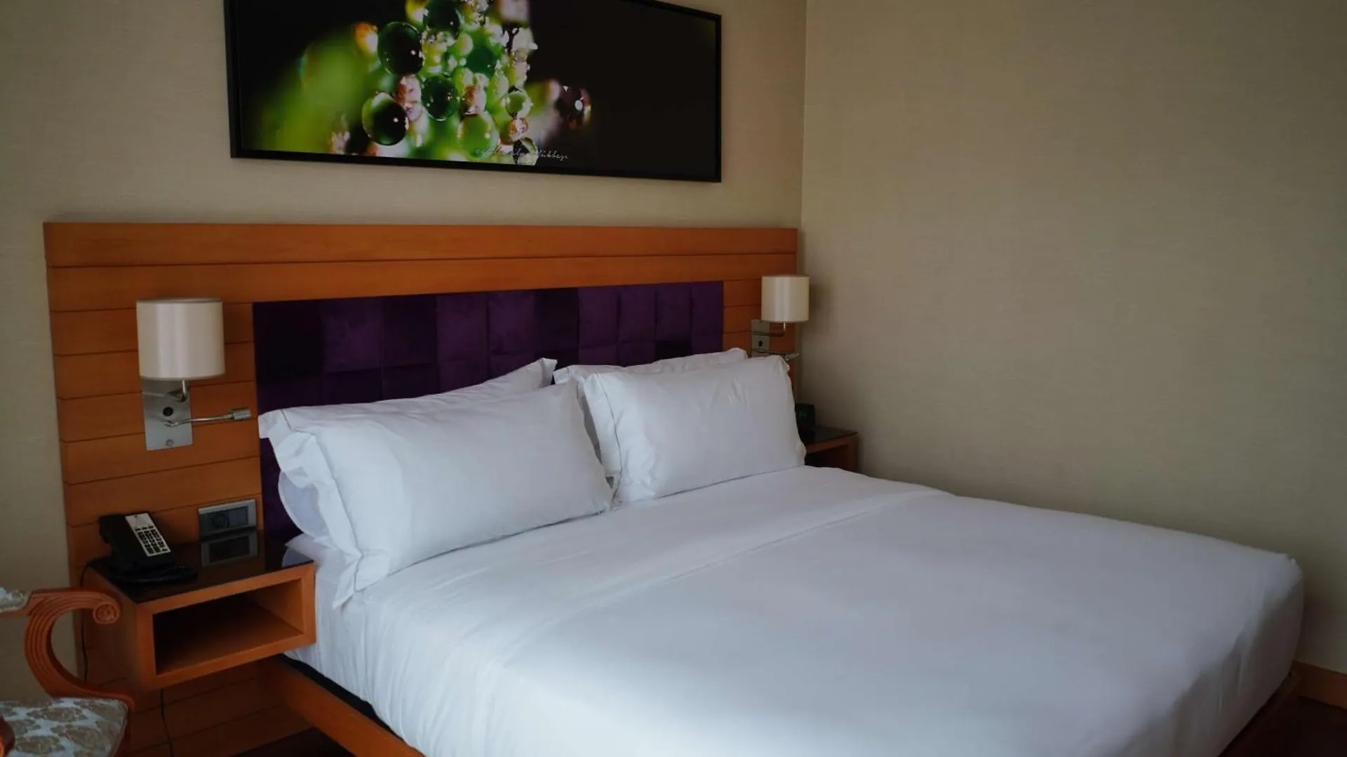 Hotel Doubletree By Hilton Trabzon
